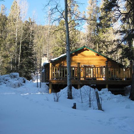 Cabin By The Creek With High Speed Wifi Red River Eksteriør bilde