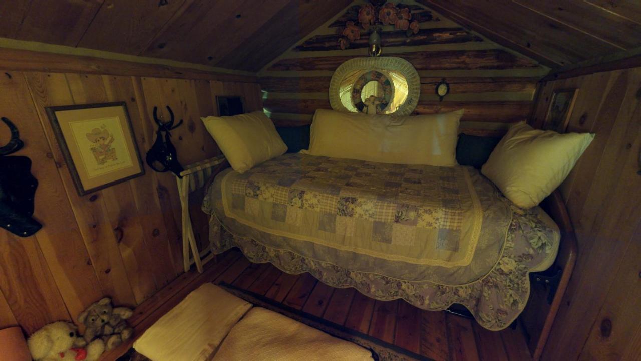Cabin By The Creek With High Speed Wifi Red River Eksteriør bilde