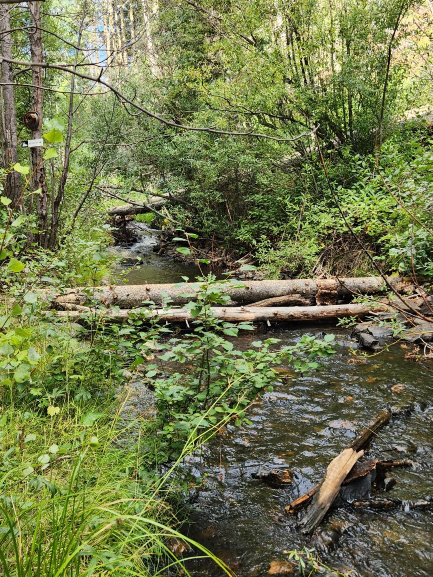 Cabin By The Creek With High Speed Wifi Red River Eksteriør bilde